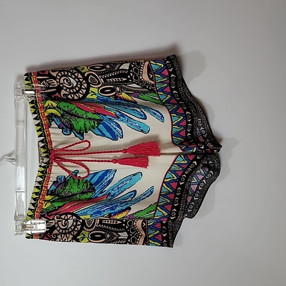 Shorts ~ Flying Tomato - Picture 4 of 7